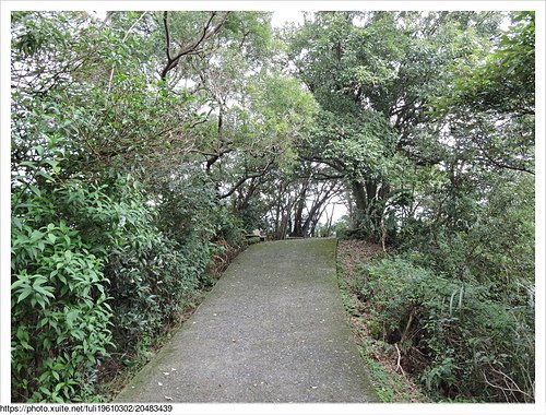 錦峰山 (52).JPG - 錦峰山