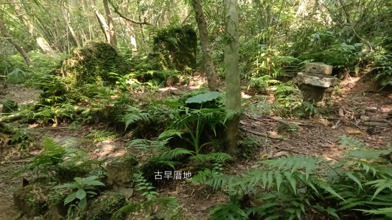 6ca5133fe1a92a3691414434e11a8297.png