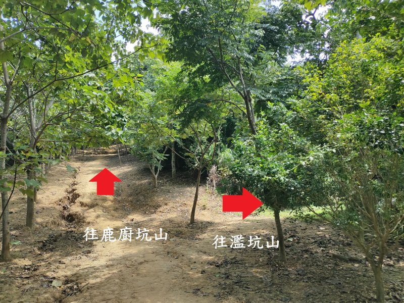 6cbd4414aaae2e8caf0b81085d04736c.jpg
