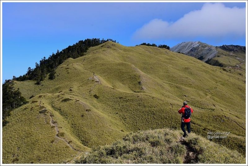 合歡山南峰主峰 (10).JPG