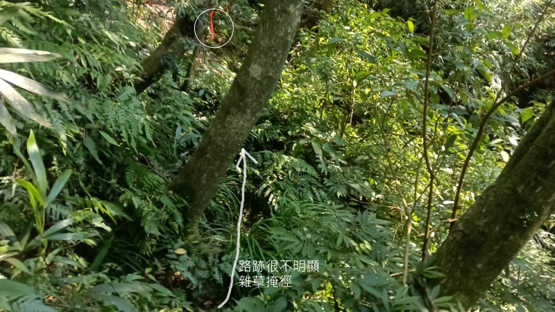 6cf753d0424caff30617f20c025cb2ec.png