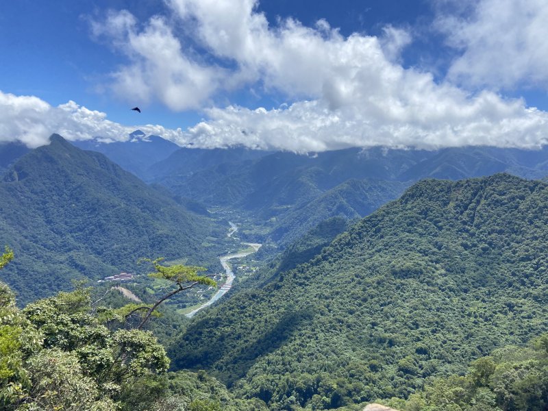 白冷山+白毛山------谷關雌與雄