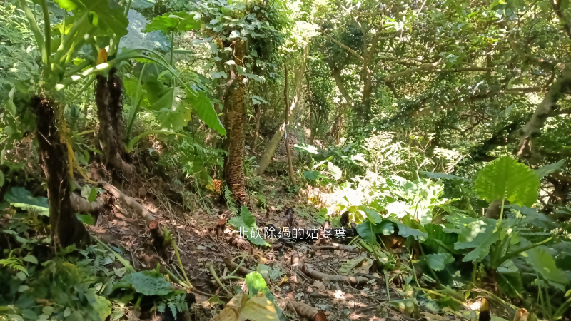 6d24287d11720b1e44ae450299c668a4.png