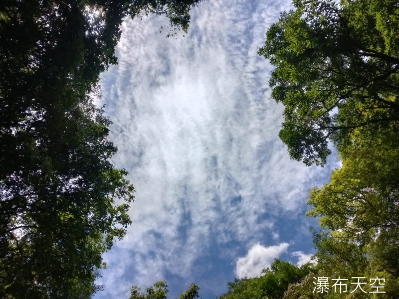 6d79d3ac20329a6bef2b9ad7c6b2941a.png