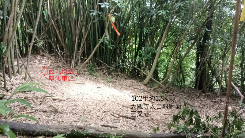 6dca2c642cb6e8c42087f3e8c3bcb094.png