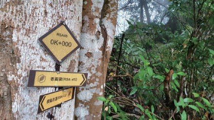 楔隘古道→沖庫山登山口（RSA44）