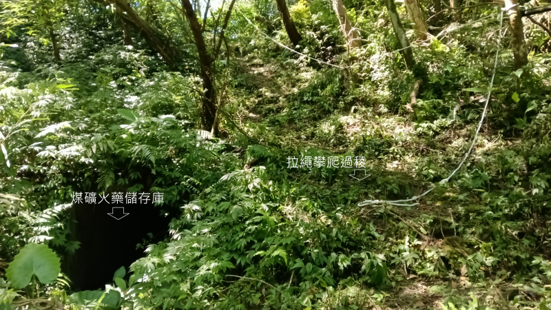 6e1eaba63d9946e39ca5ecd31c6e5e29.png