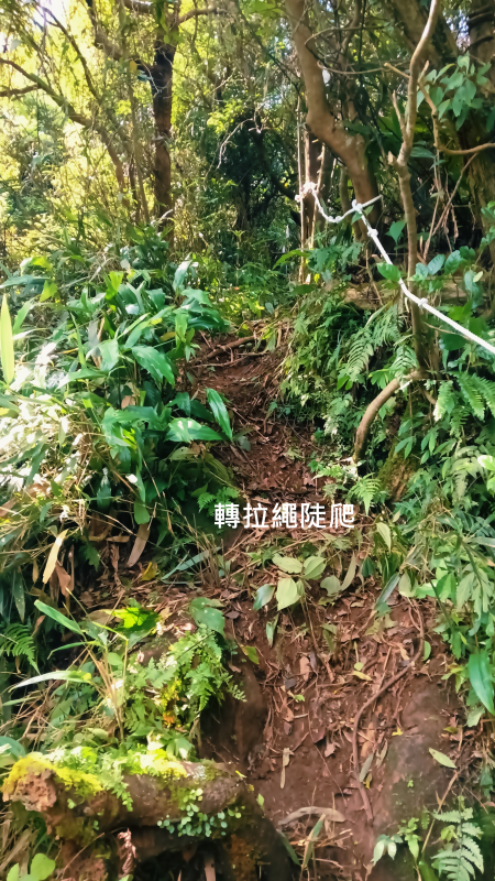 6e66195dcbbe9ce469fa8fe9e95743ba.png