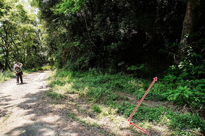 林道 3.3K 右側見付山登山口