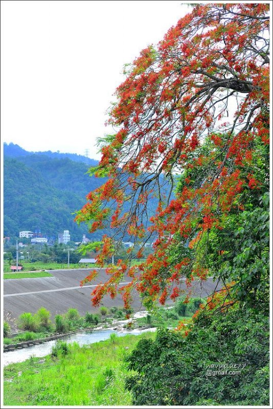 埔里醒靈寺 (11).JPG