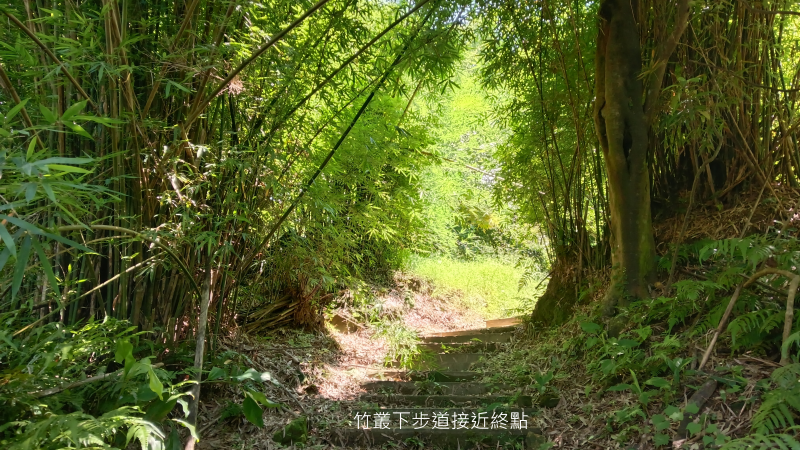 6f03f6920b3ddd6e045a83cf2af64028.png