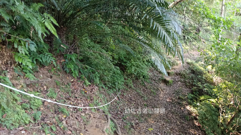 6f17422a407cac514fdd247d20ae7d97.png