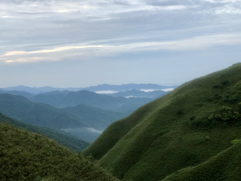 三訪抹茶山