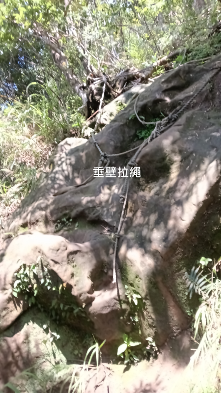 6f67edeca83a4b5a6e407bc191a3ec26.png
