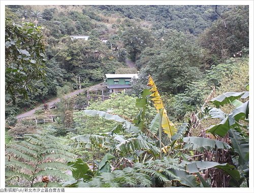 白雲古道 (63).JPG - 康誥坑溪山櫻花