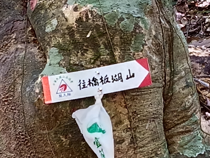 6ff4d514c42a3599ad8b9dcef3986318.jpg