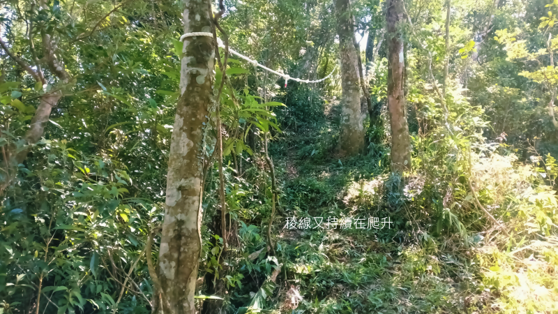 7000d4f2da38c9933cf44fdf04fc52f3.png