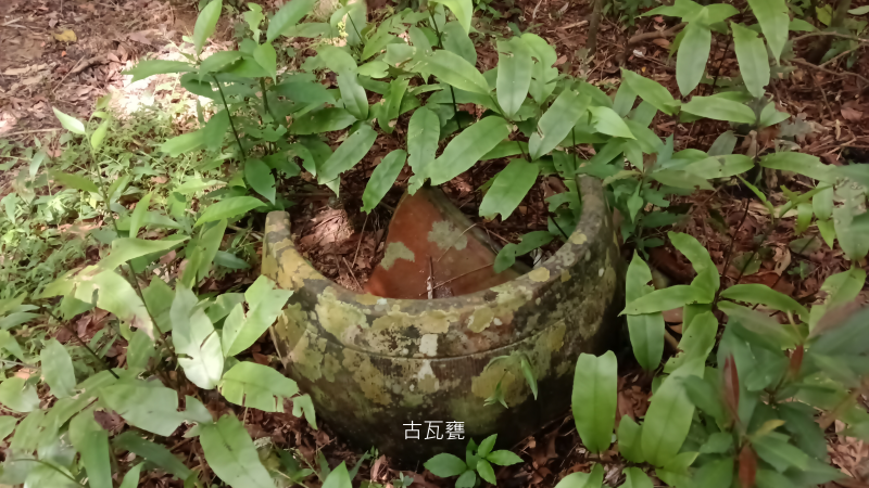 7038c1671b60260dc2110860888609cb.png