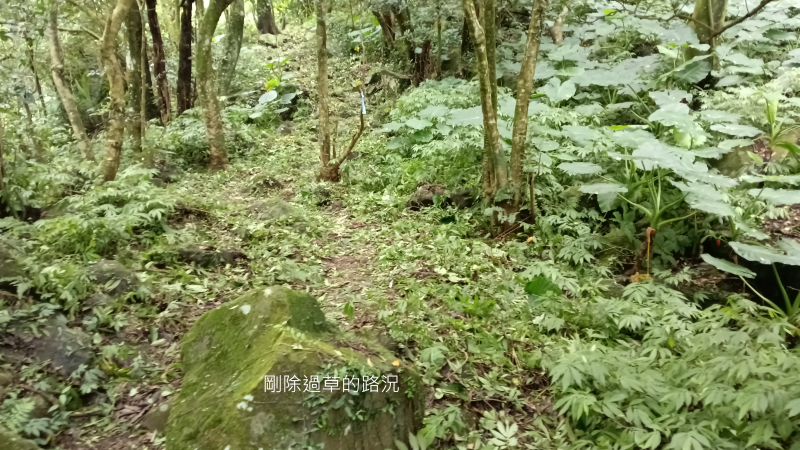 7049d1e5f6f1c5e814b1bfd1c21d6393.png