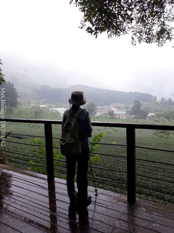 《嘉義》森林浴場｜頂湖步道登大凍山O型(頂湖線)