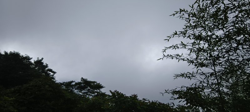 70d830e5d048e040062ea1aae334f29c.jpg
