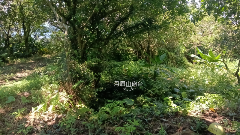 70e94ad88fe3a38f1422d924f89399e8.png