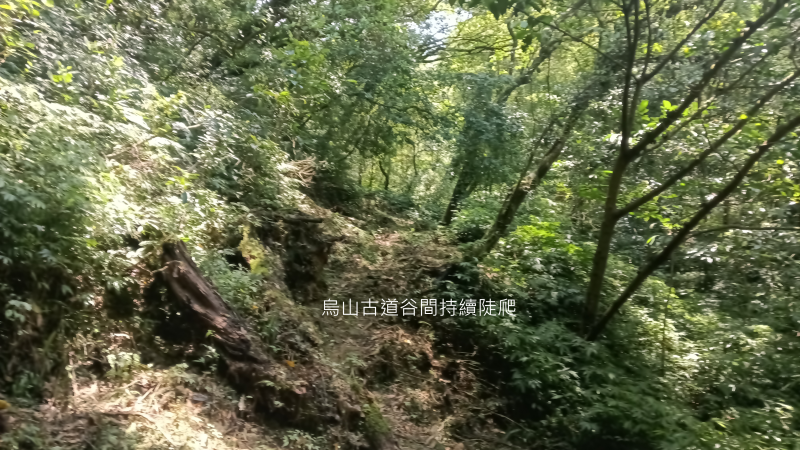 711ee51850981bf0072b4b4a01026669.png