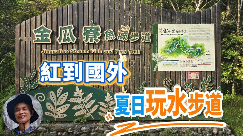 紅到國外，涼爽消暑的金瓜寮魚蕨步道，低難度、可戲水，溪畔觀魚與豐富蕨類生態的親山親水步道，回程再到坪林老街大啖各種特色茶料理、茶冰淇淋，好吃又好玩。