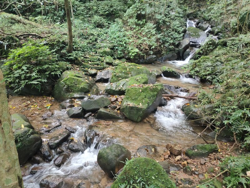71f796f6fbced4656f6caa959026db63.jpg