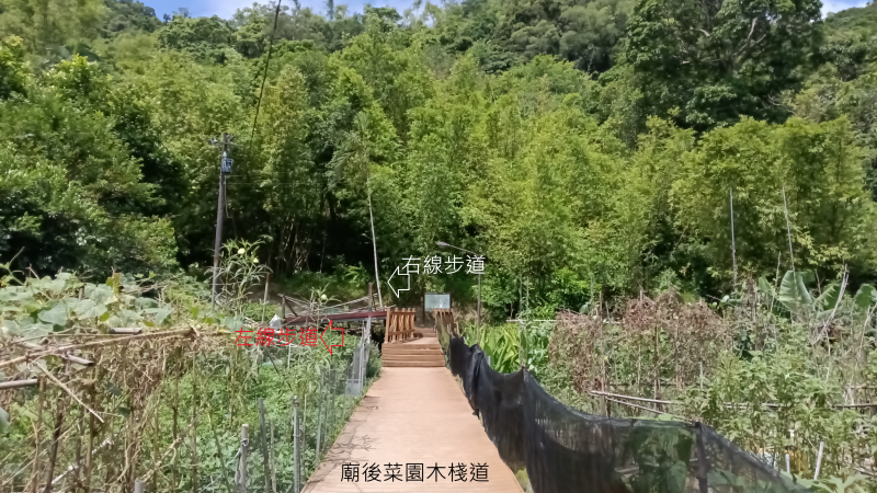 7217214a55145e9a3081cee92edbc34d.png
