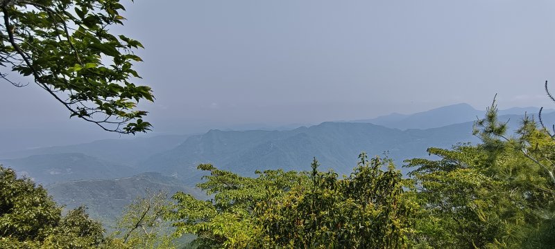 72c76433116261f95c0c5da4a20870de.jpg
