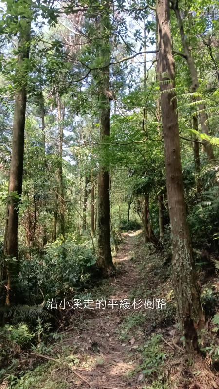 733b135e4fd88ab93012df28c2159505.png