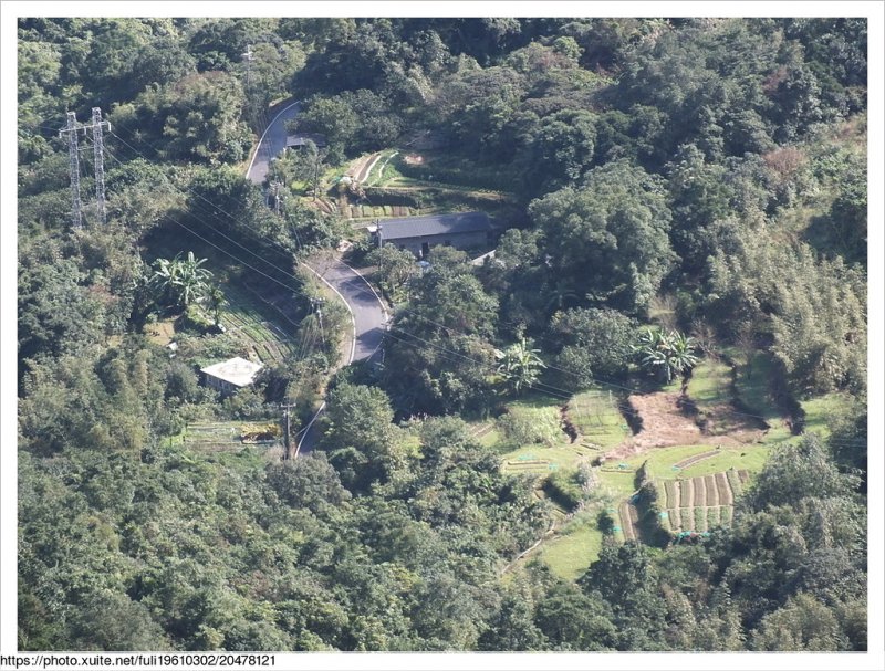 大坑稜線步道 (22).JPG - 大坑山稜線步道