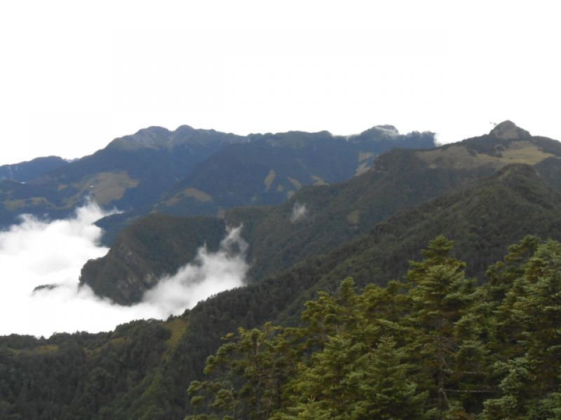 DSCN4663.JPG - 台中和平武陵四秀之二秀(DAY-2 桃山、詩崙山、喀拉業山)