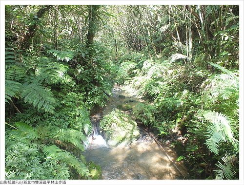 平林山 (92).JPG - 平林山步道