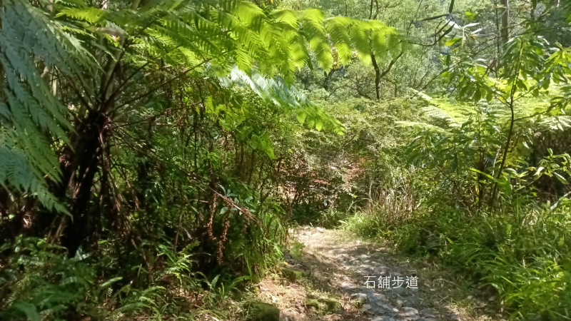 74aa4c7c20edd2a211cca65220d5f0ac.png