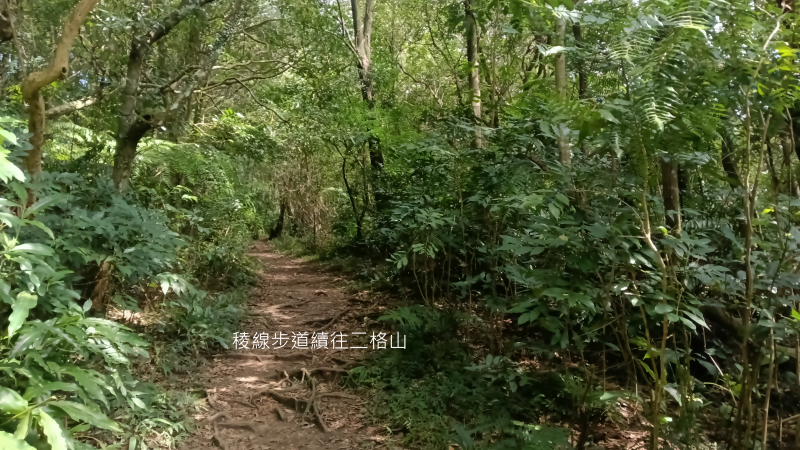 74bbcbc0455d8ec5a74f3e278c521509.png