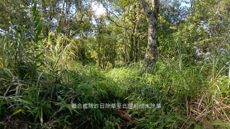 74c2280f580995089b734d5168a71e69.png