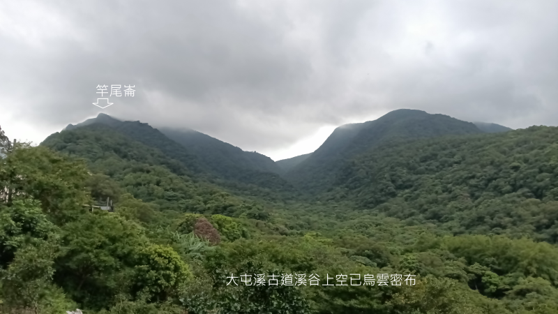 74db29ed45a0131872493ebae0154a53.png