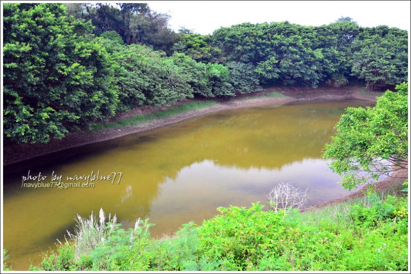 神祕湖步道12.jpg