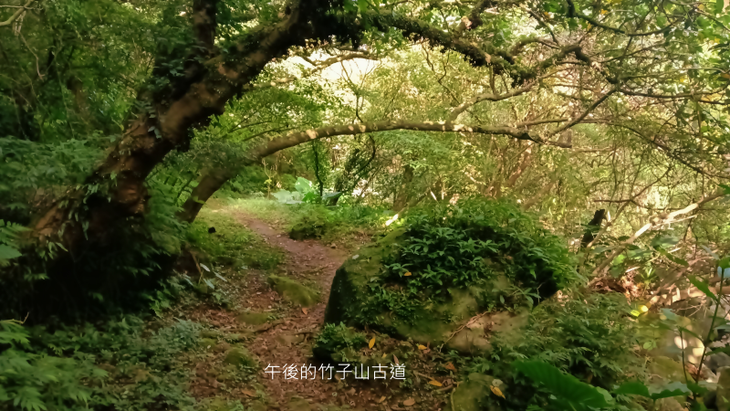 74efe4ea41e08d8e5bba8234a2b2a115.png