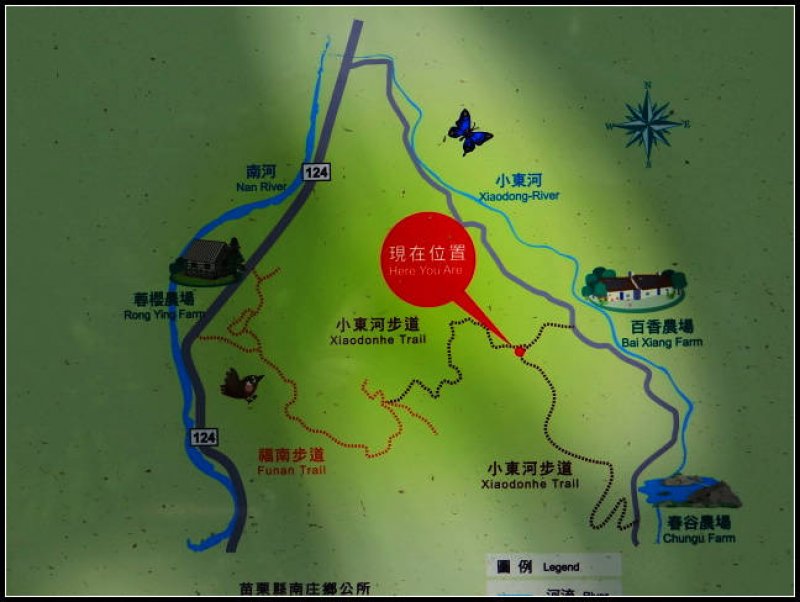 小東河步道 (28).jpg