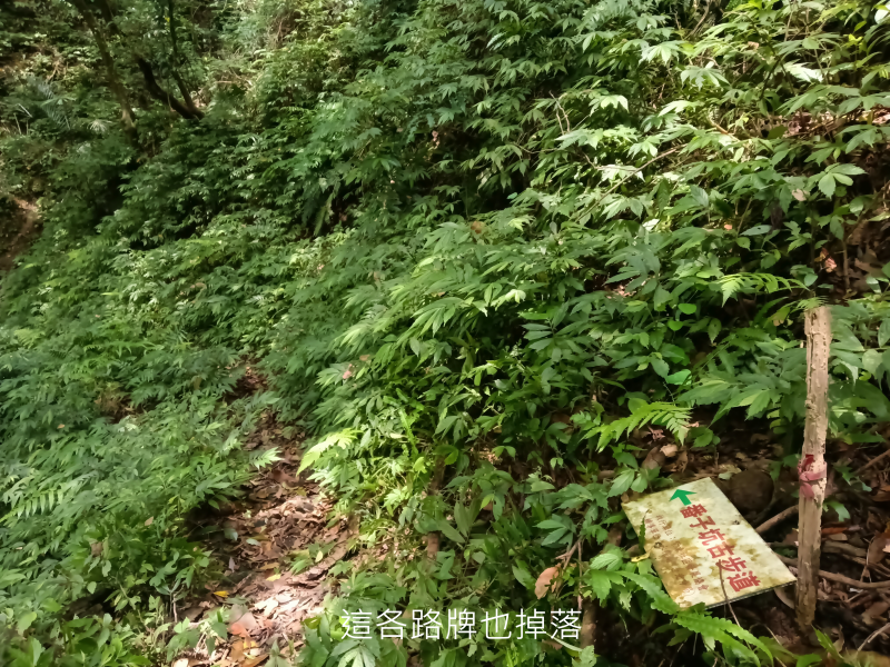 75505de02877cc99f1a877e5d13d0f30.png