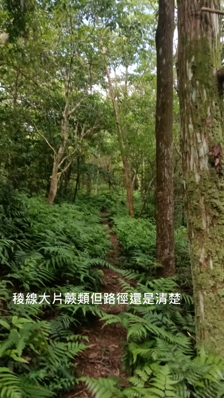 7571545f68881a030599371f064e78d6.png