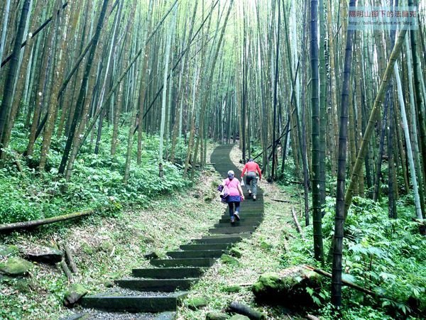 奮起湖環狀步道(奮起湖步道、杉林木棧道、木馬棧道)