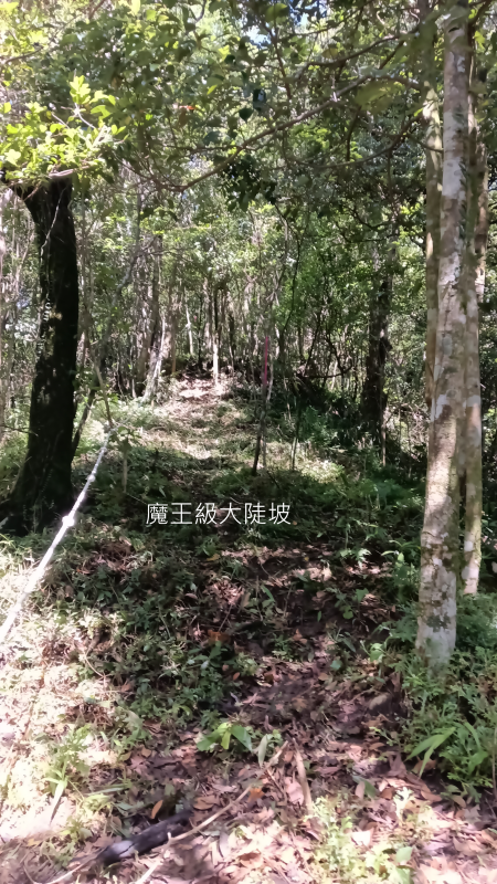 75c259a41bf8ca8088426f76f6615aeb.png