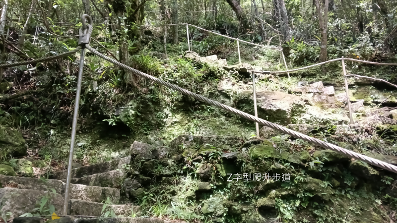 75ec89202941ede2275db259254fb08b.png