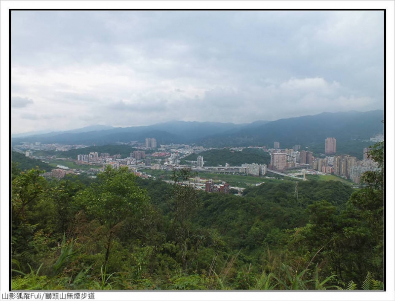 獅頭山無菸步道 (33).jpg - 獅頭山野牡丹