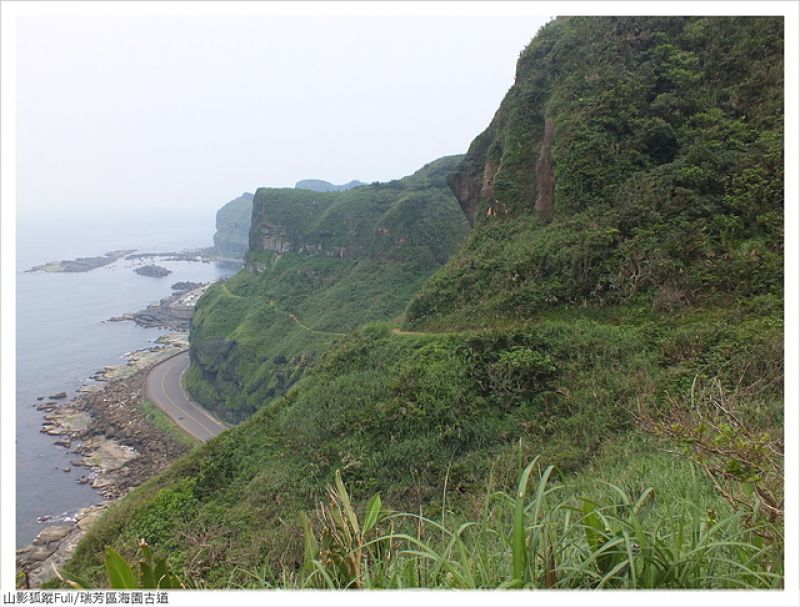 海園古道 (53).JPG - 海園古道蝶影翩翩