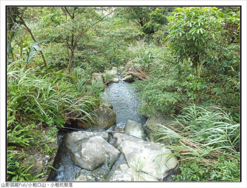 小粗口山 (100).jpg - 小粗口山、小粗坑聚落